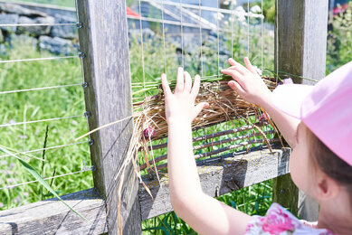 Entdecken des Naturwebrahmens am Bio-Bengelchen Weg | © SONNENTOR/@nudlholz.at