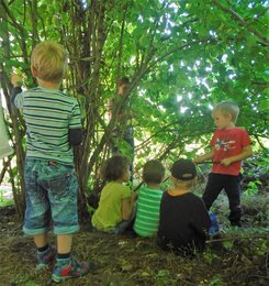 Sonnenscheinchen spielen im Wald | © SONNENTOR