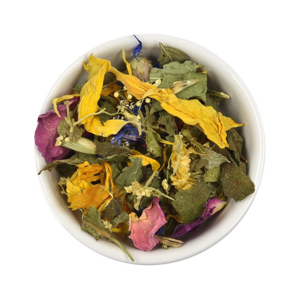 00534_loslassen Bild.jpg