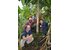 The photo shows several people standing around a cinnamon tree.