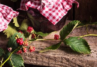 Auf dem Foto ist ein Glas mit Essig Brombeeren zu sehen. Davor sieht man einen Brombeerstrauch. | © SONNENTOR