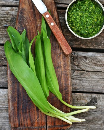 Auf dem Foto ist frischer Bärlauch auf einem Holzbrett zu sehen. Daneben ist ein Schälchen mit Bärlauch Pesto zu sehen. | © SONNENTOR