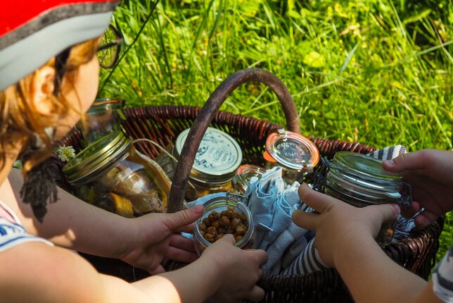 Auf dem Foto sieht man einen Picknick Korb. Man sieht zwei Kinder die den Korb ausräumen. | © SONNENTOR