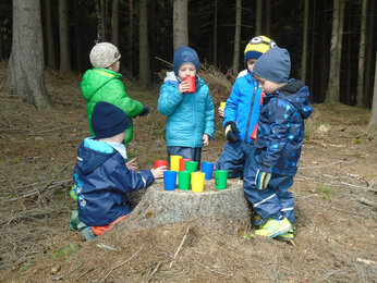 Auf dem Foto sind die Kinder im Wald zu sehen. | © SONNENTOR
