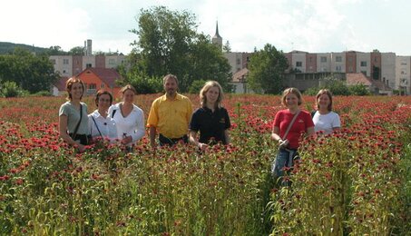 Unsere Bauern und Bäuerinnen im Goldmelissen-Feld | © SONNENTOR