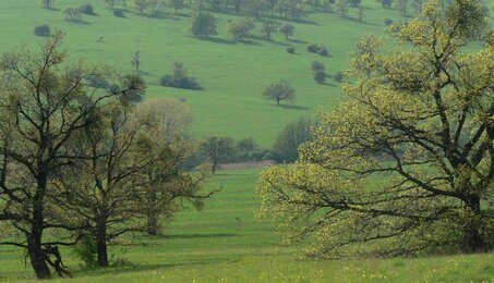 Impressionen von der Landschaft | © SONNENTOR