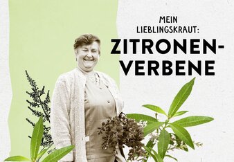 Das Bild zeigt Helga Bauer zwischen einigen Kräutern und den Schriftzug "Zitronenverbene" | © SONNENTOR