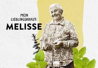 Das Bild zeigt Maria Zach zwischen Melisse und den Schriftzug "Mein Lieblingskraut: Melisse" | © SONNENTOR