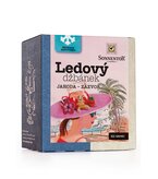 Ledový džbánek® jahoda – zázvor bio pyramidální sáčky