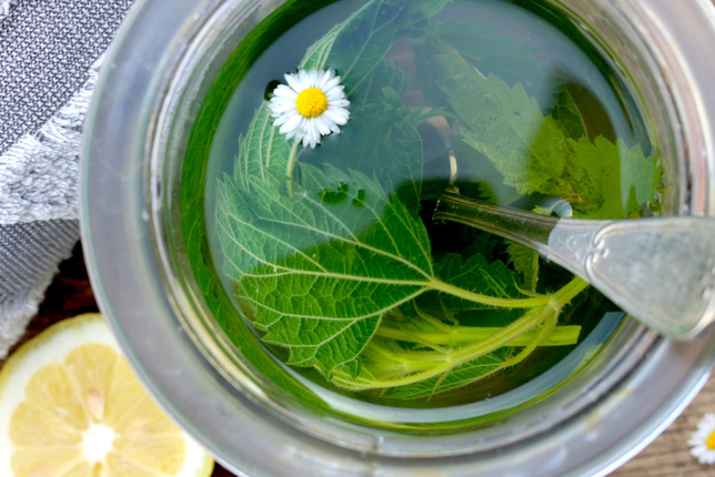 Auf dem Foto ist ein Glas mit selbstgemachter natürlicher Kräuterspülung zu sehen. | © SONNENTOR