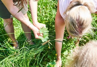 Auf dem Foto sieht man drei Personen die gerade frische Kräuter pflücken. | © SONNENTOR