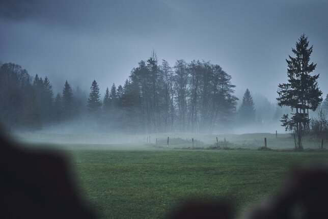 Auf dem Foto sind Wiesen und Bäume in der Dämmerung zu sehen. Auch Nebel ist zu sehen. | © Daniel Hobelsberger